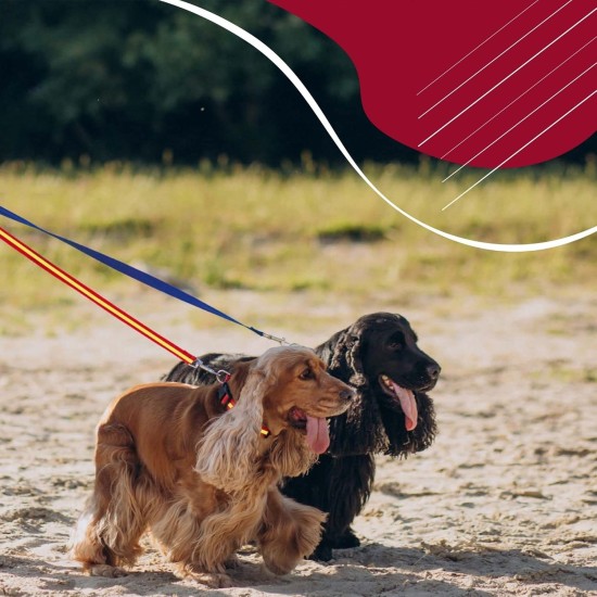 Consentida Basic Collar for Large Dogs T3 - Size L 33-50 x 2 cm - Fuchsia - Smooth and Durable Fabric - Integrated Regulator with Click Closure Consentida Basic Collar for Large Dogs T3 - Size L 33-50 x 2 cm - Fuchsia - Smooth and Durable Fabric - Integrated Regulator with Click Closure