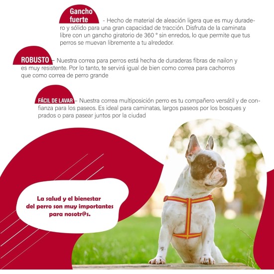 Consentida Basic Collar for Large Dogs T3 - Size L 33-50 x 2 cm - Fuchsia - Smooth and Durable Fabric - Integrated Regulator with Click Closure Consentida Basic Collar for Large Dogs T3 - Size L 33-50 x 2 cm - Fuchsia - Smooth and Durable Fabric - Integrated Regulator with Click Closure