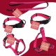 Consentida Basic Collar for Large Dogs T3 - Size L 33-50 x 2 cm - Fuchsia - Smooth and Durable Fabric - Integrated Regulator with Click Closure Consentida Basic Collar for Large Dogs T3 - Size L 33-50 x 2 cm - Fuchsia - Smooth and Durable Fabric - Integrated Regulator with Click Closure