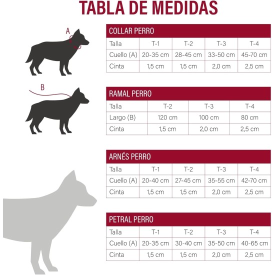Consentida Basic Collar for Large Dogs T3 - Size L 33-50 x 2 cm - Fuchsia - Smooth and Durable Fabric - Integrated Regulator with Click Closure Consentida Basic Collar for Large Dogs T3 - Size L 33-50 x 2 cm - Fuchsia - Smooth and Durable Fabric - Integrated Regulator with Click Closure