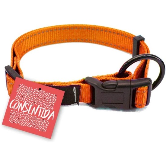 Consentida Basic T-4 CN205431 Necklace 45-70 x 2.5 cm XL Red Consentida Basic T-4 CN205431 Necklace 45-70 x 2.5 cm XL Red