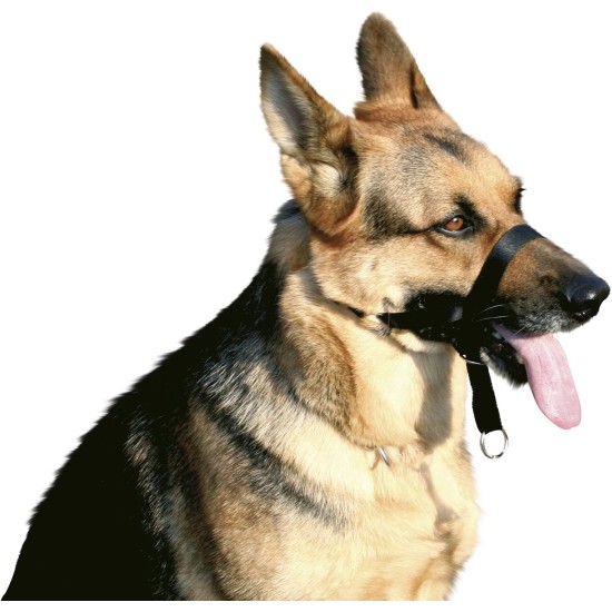 Croci Training Nylon Muzzle, Size 5 Croci Training Nylon Muzzle, Size 5