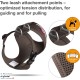 Curli Basic Air Mesh Harness, XS Curli Basic Air Mesh Harness, XS