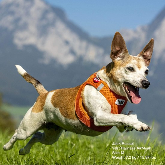 Curli Basic Air Mesh Harness, XS Curli Basic Air Mesh Harness, XS