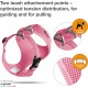 Curli Basic Air Mesh Harness, XS Curli Basic Air Mesh Harness, XS