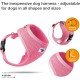 Curli Basic Air Mesh Harness, XS Curli Basic Air Mesh Harness, XS