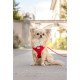 Curli Basic Air Mesh Harness, XS Curli Basic Air Mesh Harness, XS
