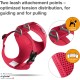 Curli Basic Air Mesh Harness, XS Curli Basic Air Mesh Harness, XS