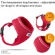 Curli Basic Air Mesh Harness, XS Curli Basic Air Mesh Harness, XS