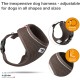 Curli Basic Air Mesh Harness, XS Curli Basic Air Mesh Harness, XS