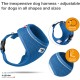 Curli Basic Air Mesh Harness, XS Curli Basic Air Mesh Harness, XS