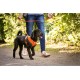 Curli Basic Air Mesh Harness, XS Curli Basic Air Mesh Harness, XS