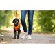 Curli Basic Air Mesh Harness, XS Curli Basic Air Mesh Harness, XS