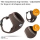 Curli Basic Air Mesh Harness, s Curli Basic Air Mesh Harness, s