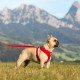 Curli Basic Air Mesh Harness, s Curli Basic Air Mesh Harness, s