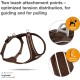 Curli Belka Comfort Harness - Brown XS Curli Belka Comfort Harness - Brown XS