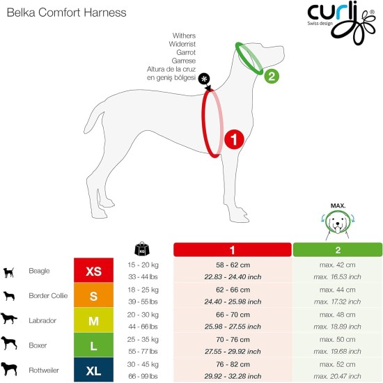 Curli Belka Comfort Harness - Brown XS Curli Belka Comfort Harness - Brown XS