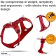 Curli Belka Comfort Harness - Brown XS Curli Belka Comfort Harness - Brown XS