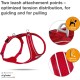 Curli Belka Comfort Harness - Brown XS Curli Belka Comfort Harness - Brown XS
