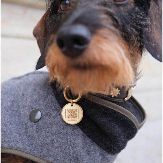 DAPHNEE ID TAG Brass Dog Tags with QR Code, Pet Online Profile, Scan the QR Instantly Receive a Pet Location Notification, Real Time Controllable via App ('daphne', L - 26 mm) DAPHNEE ID TAG Brass Dog Tags with QR Code, Pet Online Profile, Scan the QR Instantly Receive a Pet Location Notification, Real Time Controllable via App ('daphne', L - 26 mm)