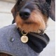 DAPHNEE ID TAG Brass Dog Tags with QR Code, Pet Online Profile, Scan the QR Instantly Receive a Pet Location Notification, Real Time Controllable via App ('daphne', L - 26 mm) DAPHNEE ID TAG Brass Dog Tags with QR Code, Pet Online Profile, Scan the QR Instantly Receive a Pet Location Notification, Real Time Controllable via App ('daphne', L - 26 mm)