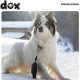 DDOXX Retractable Reflective Extendable Lead n Many Colours & Sizes for Small & Large Dogs DDOXX Retractable Reflective Extendable Lead n Many Colours & Sizes for Small & Large Dogs