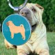 DISONTAG QR Code Dog Tag ID 41 Dog Breeds Personalised Social Online Page Free Online Pet Profile Modified Privacy Control No App Required DISONTAG QR Code Dog Tag ID 41 Dog Breeds Personalised Social Online Page Free Online Pet Profile Modified Privacy Control No App Required