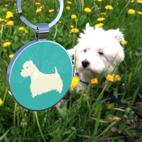 DISONTAG QR Code Dog Tag ID 41 Dog Breeds Personalised Social Online Site Free Online Pet Profile Modificable Privacy Control No App Required DISONTAG QR Code Dog Tag ID 41 Dog Breeds Personalised Social Online Site Free Online Pet Profile Modificable Privacy Control No App Required