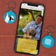 DISONTAG QR Code Dog Tag ID 41 Dog Breeds Personalised Social Online Site Free Online Pet Profile Modificable Privacy Control No App Required DISONTAG QR Code Dog Tag ID 41 Dog Breeds Personalised Social Online Site Free Online Pet Profile Modificable Privacy Control No App Required