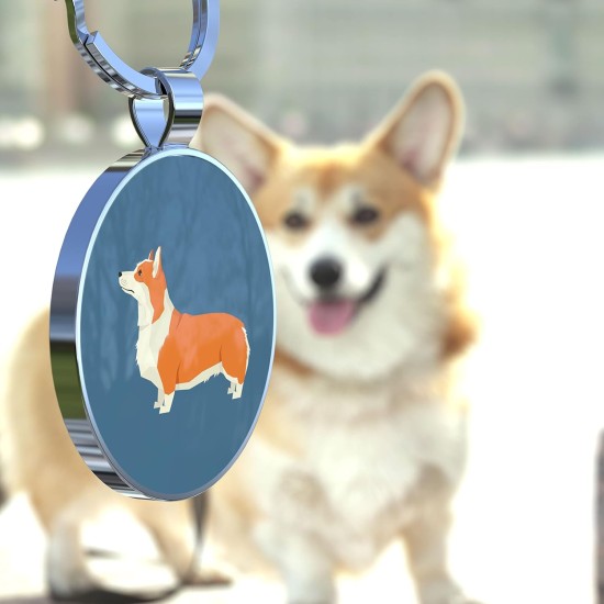 DISONTAG QR Code Dog Tag ID 41 Dog Breeds Personalised Social Online Site Free Online Pet Profile Modificable Privacy Control No App Required DISONTAG QR Code Dog Tag ID 41 Dog Breeds Personalised Social Online Site Free Online Pet Profile Modificable Privacy Control No App Required