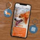DISONTAG QR Code Dog Tag ID 41 Dog Breeds Personalised Social Online Site Free Online Pet Profile Modificable Privacy Control No App Required DISONTAG QR Code Dog Tag ID 41 Dog Breeds Personalised Social Online Site Free Online Pet Profile Modificable Privacy Control No App Required