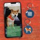 DISONTAG QR Code Dog Tag ID 41 Dog Breeds Personalised Social Online Site Free Online Pet Profile Modificable Privacy Control No App Required DISONTAG QR Code Dog Tag ID 41 Dog Breeds Personalised Social Online Site Free Online Pet Profile Modificable Privacy Control No App Required