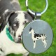 DISONTAG QR Code Dog Tag ID 41 Dog Breeds Personalised Social Online Site Free Online Pet Profile Modificable Privacy Control No App Required DISONTAG QR Code Dog Tag ID 41 Dog Breeds Personalised Social Online Site Free Online Pet Profile Modificable Privacy Control No App Required