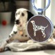 DISONTAG QR Code Dog Tag ID 41 Dog Breeds Personalised Social Online Site Free Online Pet Profile Modificable Privacy Control No App Required DISONTAG QR Code Dog Tag ID 41 Dog Breeds Personalised Social Online Site Free Online Pet Profile Modificable Privacy Control No App Required