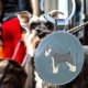 DISONTAG QR Code Dog Tag ID 41 Dog Breeds Personalised Social Online Site Free Online Pet Profile Modificable Privacy Control No App Required DISONTAG QR Code Dog Tag ID 41 Dog Breeds Personalised Social Online Site Free Online Pet Profile Modificable Privacy Control No App Required