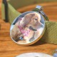 DISONTAG QR Code Dog Tag ID 41 Dog Breeds Personalised Social Online Site Free Online Pet Profile Modificable Privacy Control No App Required DISONTAG QR Code Dog Tag ID 41 Dog Breeds Personalised Social Online Site Free Online Pet Profile Modificable Privacy Control No App Required
