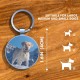 DISONTAG QR Code Dog Tag ID 41 Dog Breeds Personalised Social Online Site Free Online Pet Profile Modificable Privacy Control No App Required DISONTAG QR Code Dog Tag ID 41 Dog Breeds Personalised Social Online Site Free Online Pet Profile Modificable Privacy Control No App Required
