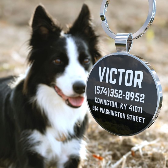 DISONTAG QR Code Dog Tag ID 41 Dog Breeds Personalised Social Online Site Free Online Pet Profile Modificable Privacy Control No App Required DISONTAG QR Code Dog Tag ID 41 Dog Breeds Personalised Social Online Site Free Online Pet Profile Modificable Privacy Control No App Required