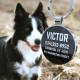 DISONTAG QR Code Dog Tag ID 41 Dog Breeds Personalised Social Online Site Free Online Pet Profile Modificable Privacy Control No App Required DISONTAG QR Code Dog Tag ID 41 Dog Breeds Personalised Social Online Site Free Online Pet Profile Modificable Privacy Control No App Required