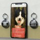 DISONTAG QR Code Dog Tag ID 41 Dog Breeds Personalised Social Online Site Free Online Pet Profile Modificable Privacy Control No App Required DISONTAG QR Code Dog Tag ID 41 Dog Breeds Personalised Social Online Site Free Online Pet Profile Modificable Privacy Control No App Required