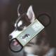 DISONTAG QR Code Silent Dog Tag ID 18 Dog Breeds Personalised Social Online Site Free Online Pet Profile Modification Control Privacy No App Required DISONTAG QR Code Silent Dog Tag ID 18 Dog Breeds Personalised Social Online Site Free Online Pet Profile Modification Control Privacy No App Required