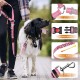 Detachable Dog Seat Belt Harness for Car, 3 in 1 Pet Dog Car Seat Belt, Retractable Restraint Secures to Vehicle Headrest and Adjustable Reflective Detachable Dog Seat Belt Harness for Car, 3 in 1 Pet Dog Car Seat Belt, Retractable Restraint Secures to Vehicle Headrest and Adjustable Reflective