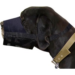 Dingo 16777-2 Soft Nylon Muzzle with Breathable Mesh Rottweiler Dog, Great Dane, German Shepherd, Short-Term Veterinarian Muzzle, Adjustable Neck Strap, Black Dingo 16777-2 Soft Nylon Muzzle with Breathable Mesh Rottweiler Dog, Great Dane, German Shepherd, Short-Term Veterinarian Muzzle, Adjustable Neck Strap, Black