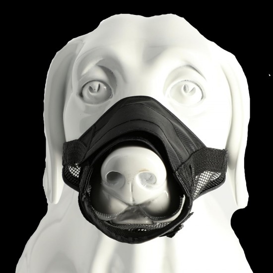 Dingo 16777-2 Soft Nylon Muzzle with Breathable Mesh Rottweiler Dog, Great Dane, German Shepherd, Short-Term Veterinarian Muzzle, Adjustable Neck Strap, Black Dingo 16777-2 Soft Nylon Muzzle with Breathable Mesh Rottweiler Dog, Great Dane, German Shepherd, Short-Term Veterinarian Muzzle, Adjustable Neck Strap, Black
