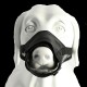 Dingo 16777-2 Soft Nylon Muzzle with Breathable Mesh Rottweiler Dog, Great Dane, German Shepherd, Short-Term Veterinarian Muzzle, Adjustable Neck Strap, Black Dingo 16777-2 Soft Nylon Muzzle with Breathable Mesh Rottweiler Dog, Great Dane, German Shepherd, Short-Term Veterinarian Muzzle, Adjustable Neck Strap, Black