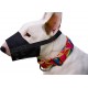 Dingo 16777-2 Soft Nylon Muzzle with Breathable Mesh Rottweiler Dog, Great Dane, German Shepherd, Short-Term Veterinarian Muzzle, Adjustable Neck Strap, Black Dingo 16777-2 Soft Nylon Muzzle with Breathable Mesh Rottweiler Dog, Great Dane, German Shepherd, Short-Term Veterinarian Muzzle, Adjustable Neck Strap, Black