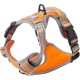 Dog & Co Padded and Reflective Sports Harness - Orange, Medium Dog & Co Padded and Reflective Sports Harness - Orange, Medium