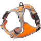 Dog & Co Padded and Reflective Sports Harness - Orange, Medium Dog & Co Padded and Reflective Sports Harness - Orange, Medium