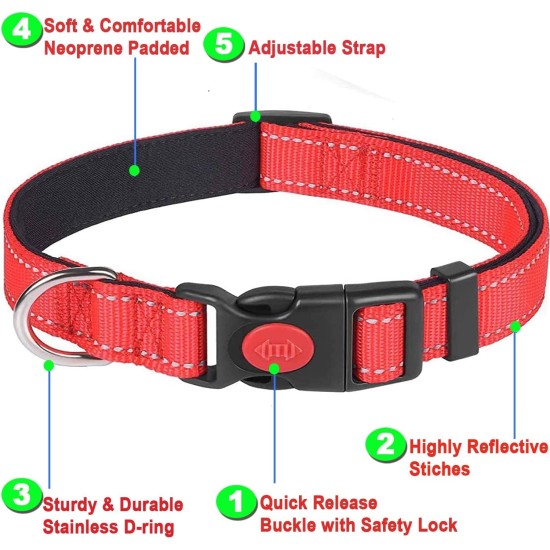 Dog Collar, Reflective Adjustable Basic Dog Collar with Soft Neoprene Padding, Durable Nylon Pet Collars for Puppies, Small Dogs Dog Collar, Reflective Adjustable Basic Dog Collar with Soft Neoprene Padding, Durable Nylon Pet Collars for Puppies, Small Dogs