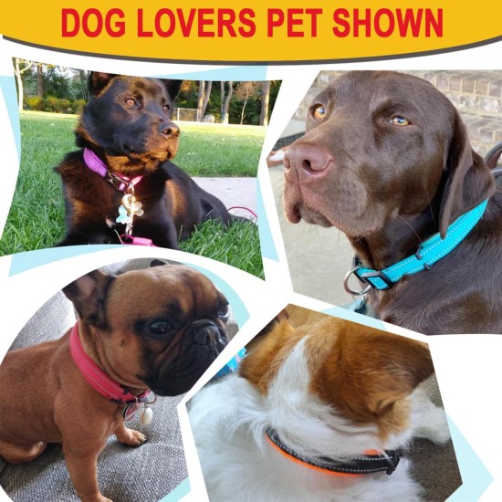 Dog Collar, Reflective Adjustable Basic Dog Collar with Soft Neoprene Padding, Durable Nylon Pet Collars for Puppies, Small Dogs Dog Collar, Reflective Adjustable Basic Dog Collar with Soft Neoprene Padding, Durable Nylon Pet Collars for Puppies, Small Dogs